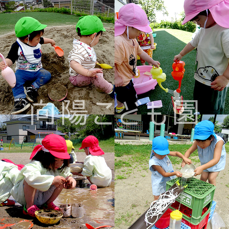 向陽こども園2024